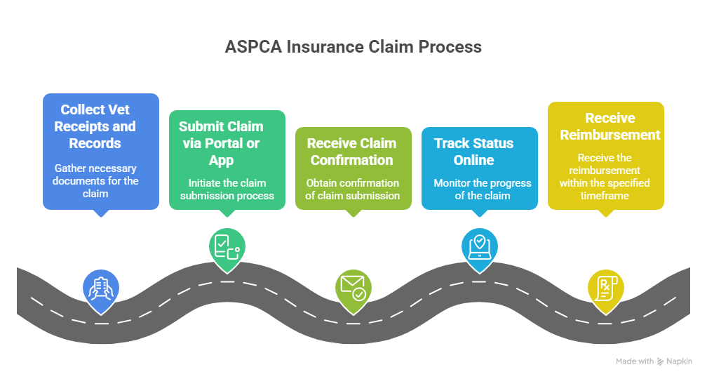 5 Ways ASPCA Pet Health Insurance Boosts Multi-Pet Savings ASPCA Pet Health Insurance