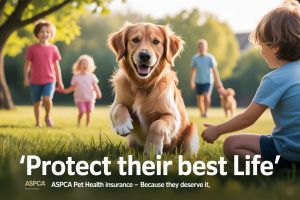 ASPCA Pet Health Insurance