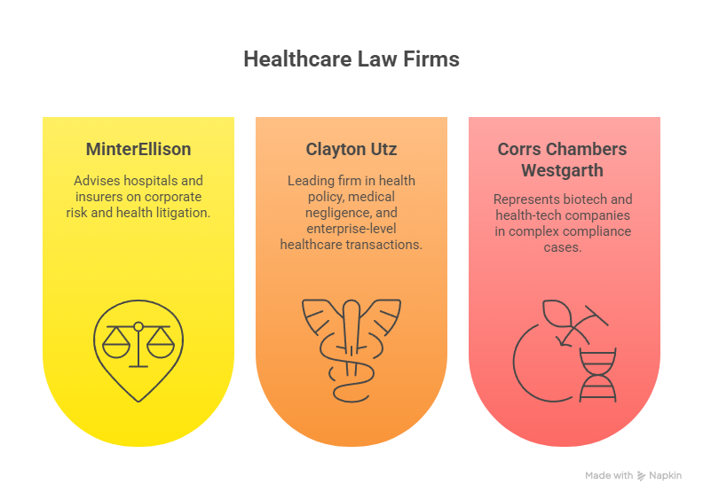 Health Care Lawyer